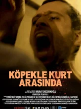 Köpekle Kurt Arasında