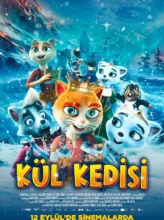 Kül Kedisi